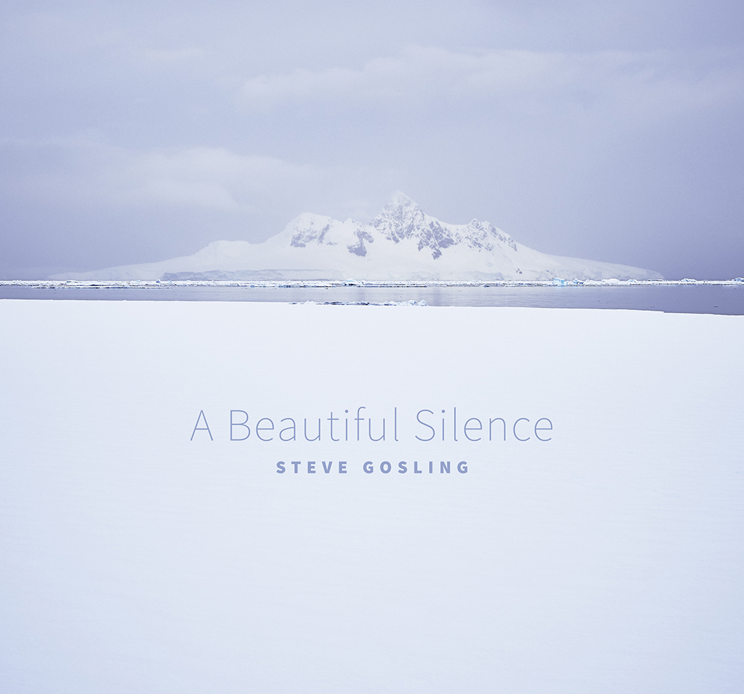 A Beautiful Silence Book