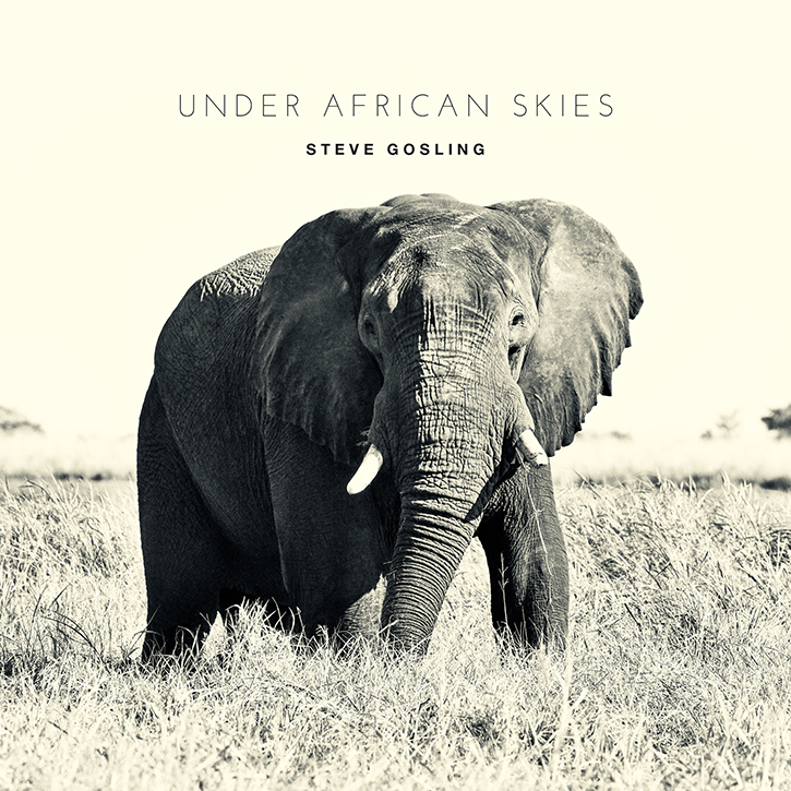 Under African Skies Cover